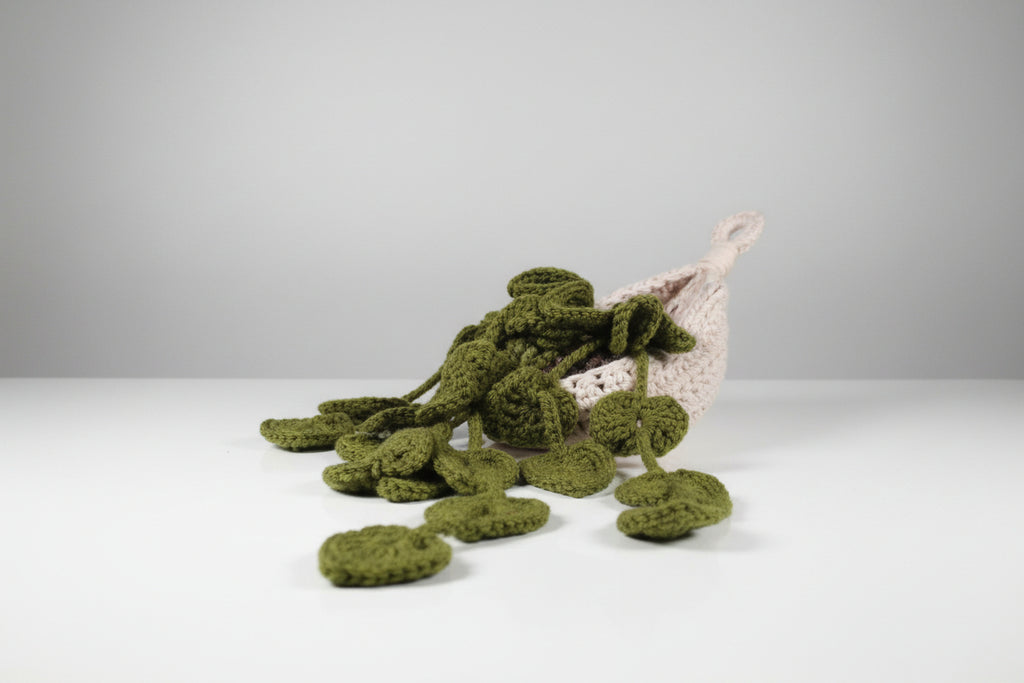 Crochet hanging leafy plant