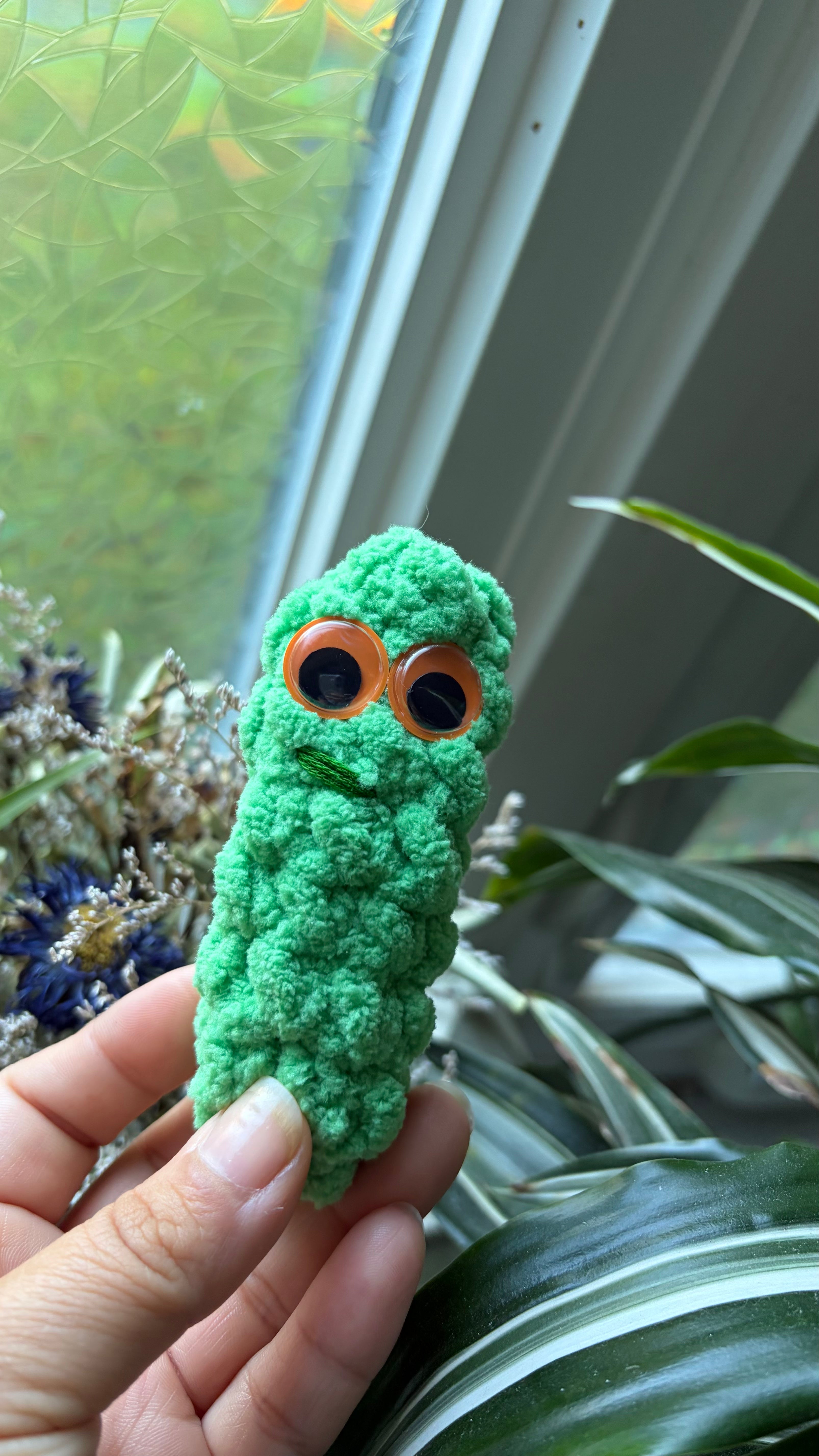 Crochet Snap Pickle
