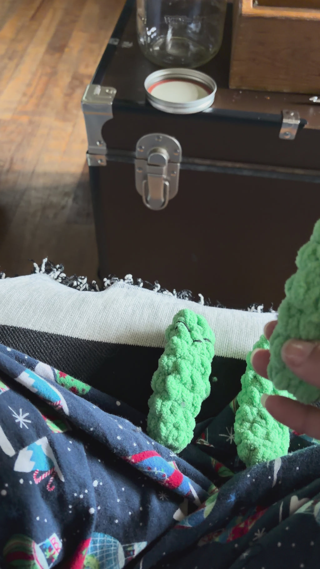 Crochet Snap Pickle